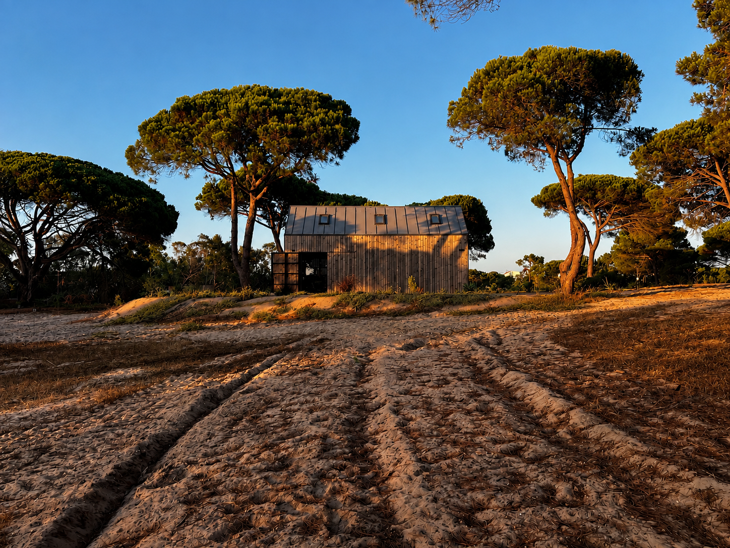 José Carvalho’s timber ceramics studio set among stone pines in Aldeia do Meco