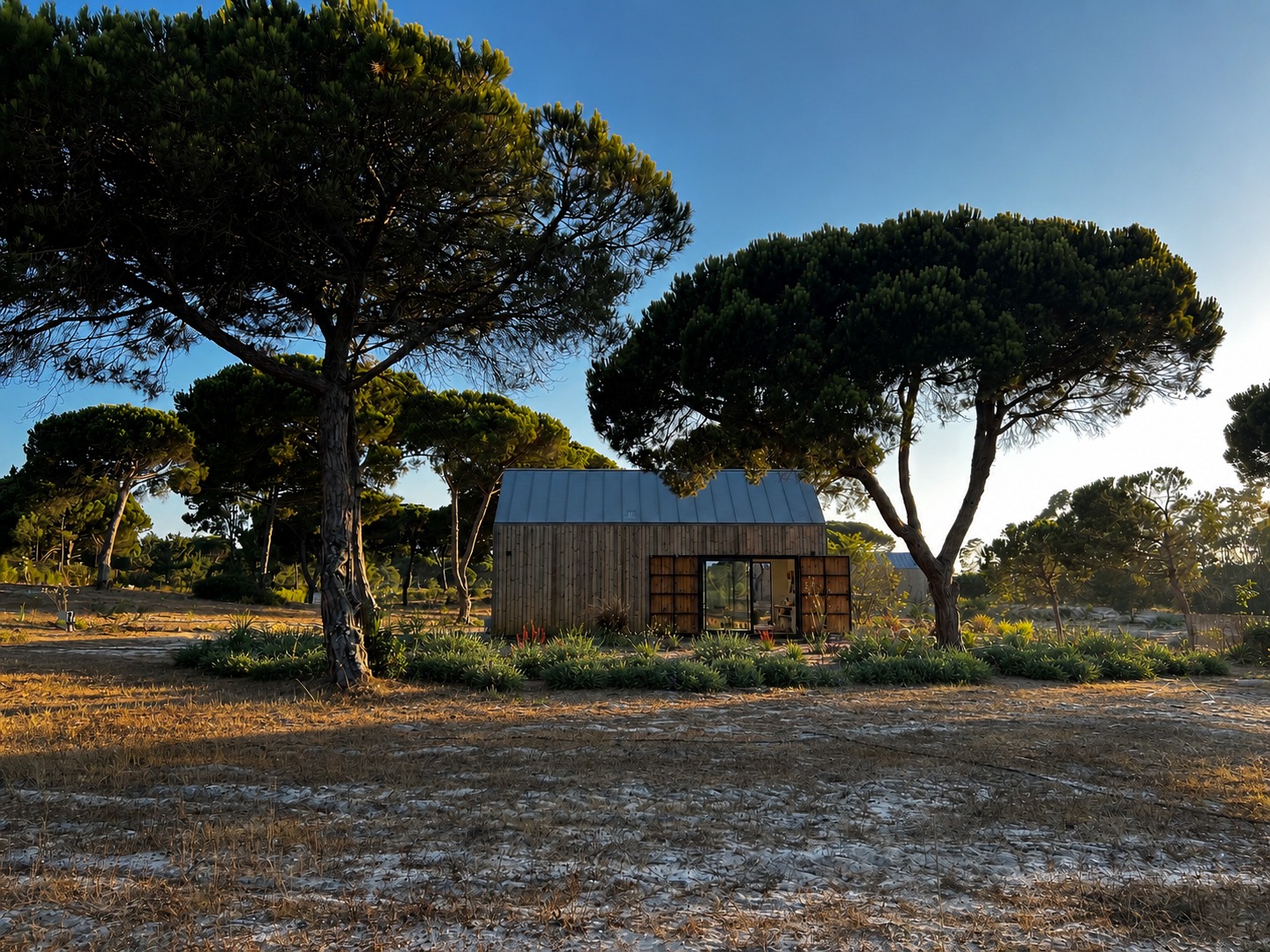 The studio set among mature stone pines and sandy ground in Aldeia do Meco, Sesimbra